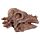 Kit de Fouille RAWR - Fossil Crâne de Dinosaure