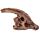 Kit de Fouille RAWR - Fossil Crâne de Dinosaure
