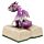 Figurine Elements - Dragon au Grimoir