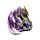 Famille Dragon Enfant de la Terre et du Ciel - Dark Legends 