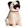 Figurine Solaire Mopps - Chien Carlin