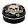 Baume à Lèvres dans Boîte en Etain Skulls and Roses - Crâne