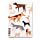 Bloc-notes A5 en papier recyclé - Barks Chien