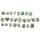 Set de 25 Pierres Runiques