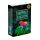 Jeu de Cartes Traditionnel Animal Kingdom - Animaux