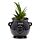 Pot en Céramique pour Plante d'Intérieur - Chaudron de Sorcière Noir
