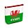Porte-Monnaie PVC - Dragon Welsh Wales (Cymru) Souvenir