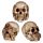 Lot de 3 Petits Crânes de la Sagesse