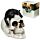 Figurine Crâne avec Chat Noir