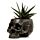 Jardinière Pot - Crâne
