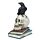 Figurine Corbeau Debout sur Crânes et Livres Empilés