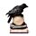 Corbeau perché sur Crâne & Livres à LED
