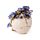 Crâne avec Orchidées violettes 