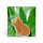 Gomme - Capybara 