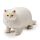 Jouet Gros chat étirable