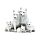 Famille de Loups et Louveteaux