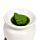 Lot de 5 Fondants de Cire - Plantes de Noël Epices d'Hiver