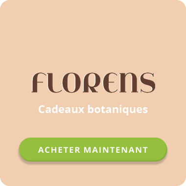Collection Botanique - Florens